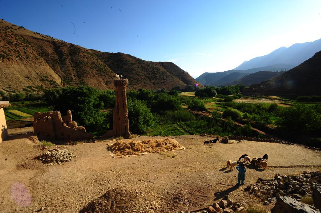Riad La Fibule Berbere Tabant Exteriör bild